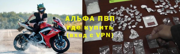 PSILOCYBIN Зеленодольск